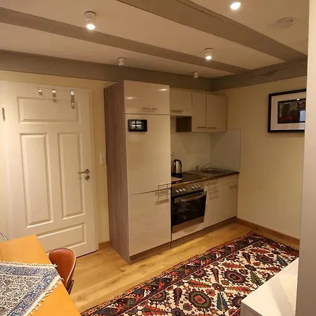 Aparthotel Goldener Hirsch Schriesheim