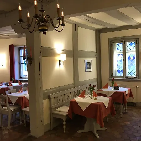 Apartahotel Goldener Hirsch Schriesheim